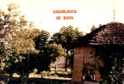 Casablanca de Saha